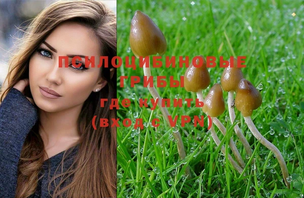 хмурый Лабытнанги