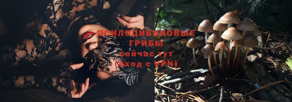 хмурый Лабытнанги