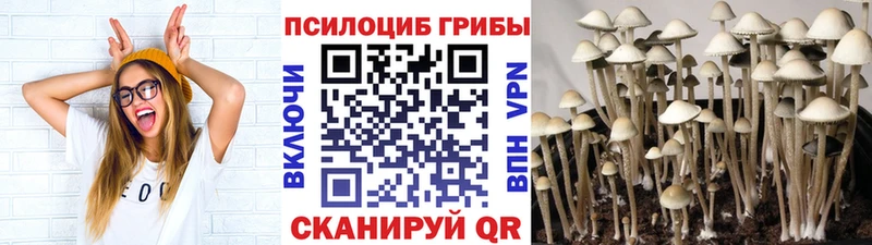 Псилоцибиновые грибы ЛСД  Купить  Прохладный 