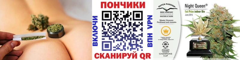 Марихуана ГИДРОПОН  Купить  Прохладный 